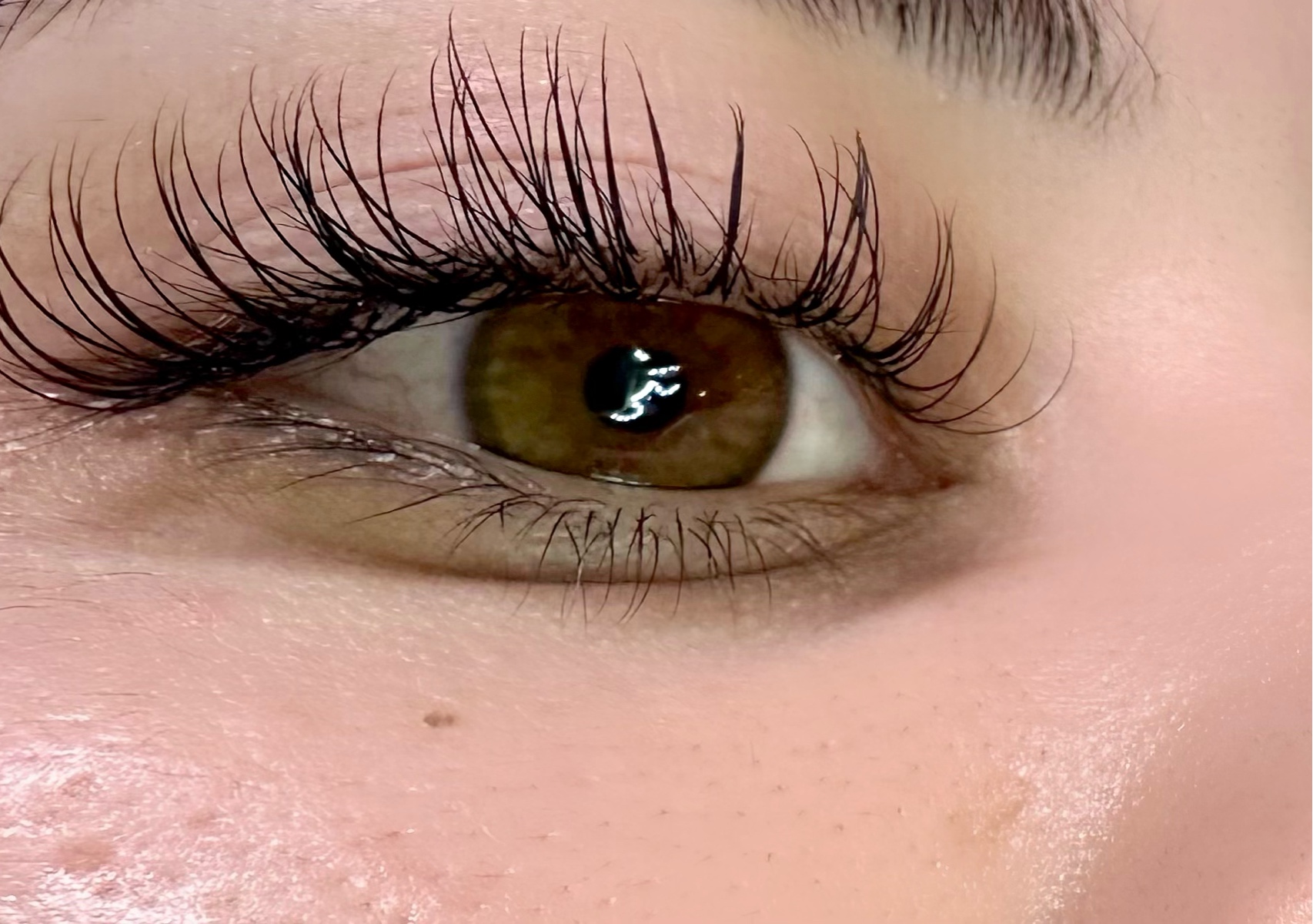 Lashes 