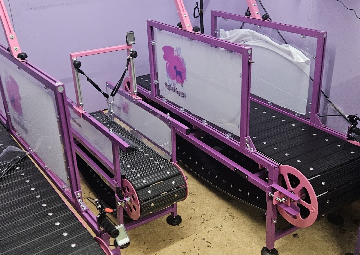 Treadmil slot single