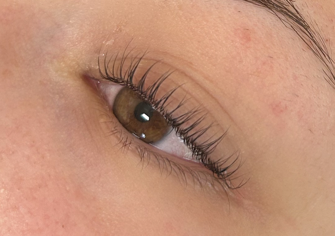 lash lift and tint (LVL)