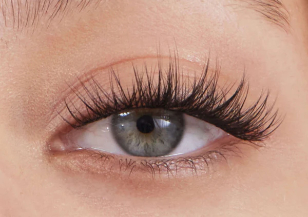 TRAINING MINKLASHES EXTENSION.