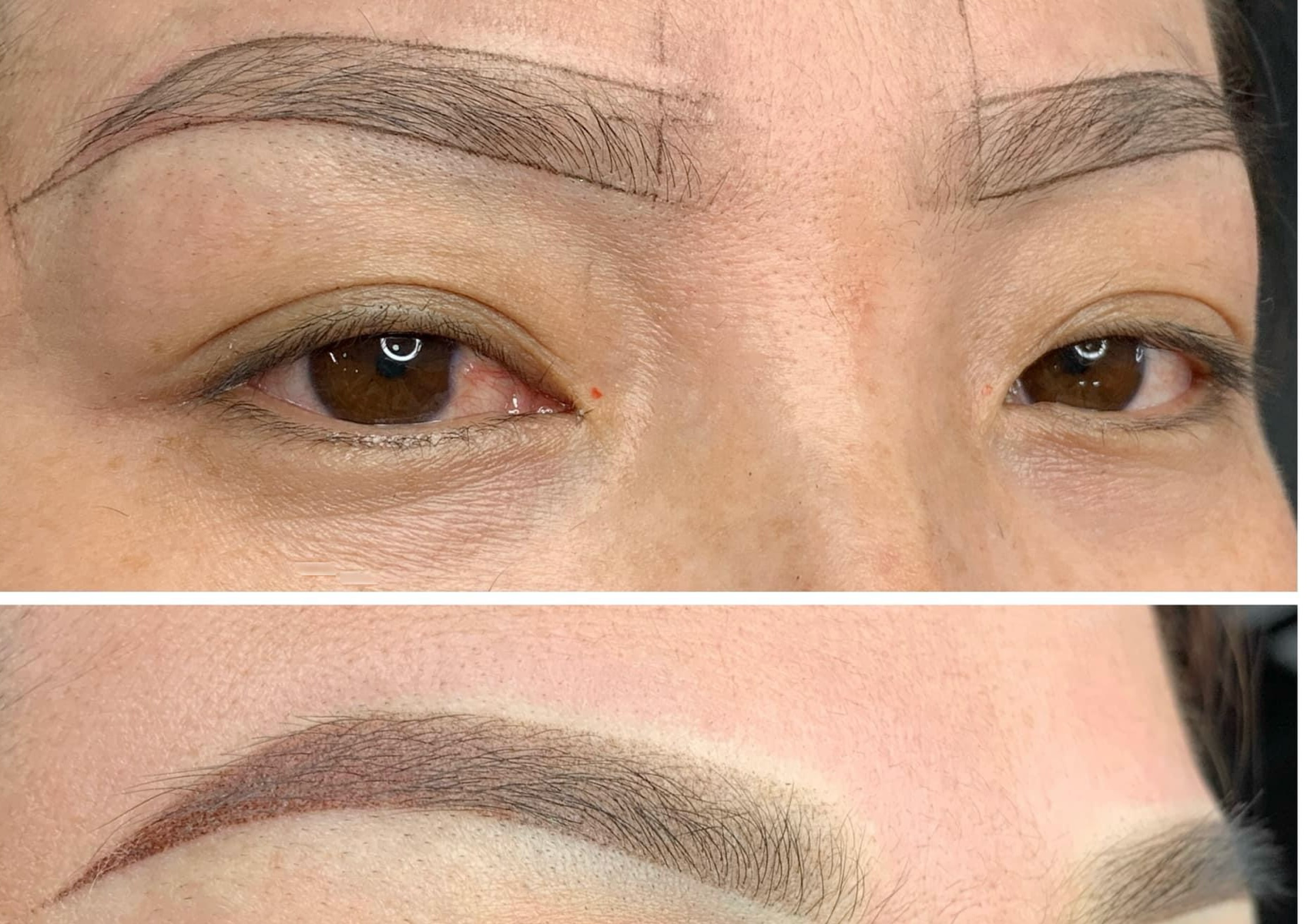 TRAINING MAPPING EYEBROWS 
