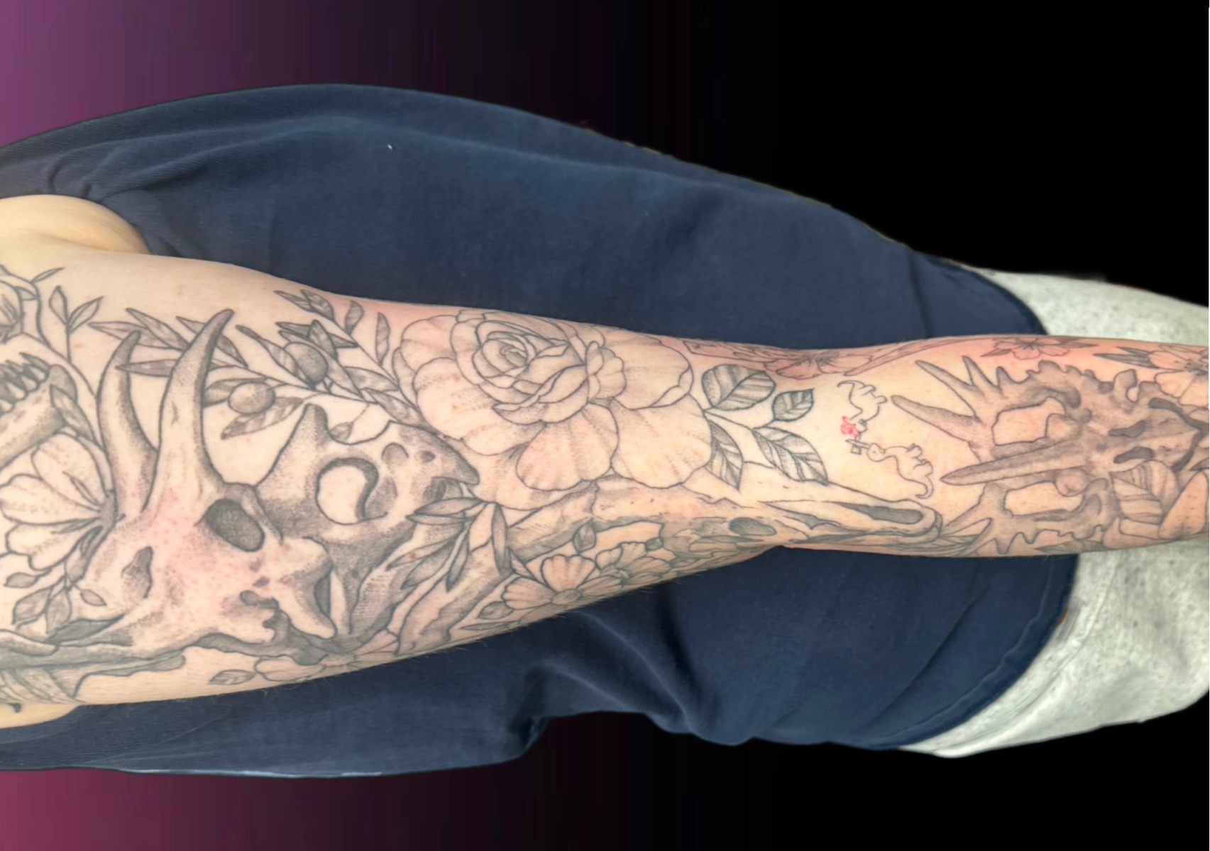 Sleeves, Back/Chest Pieces, Stomachs