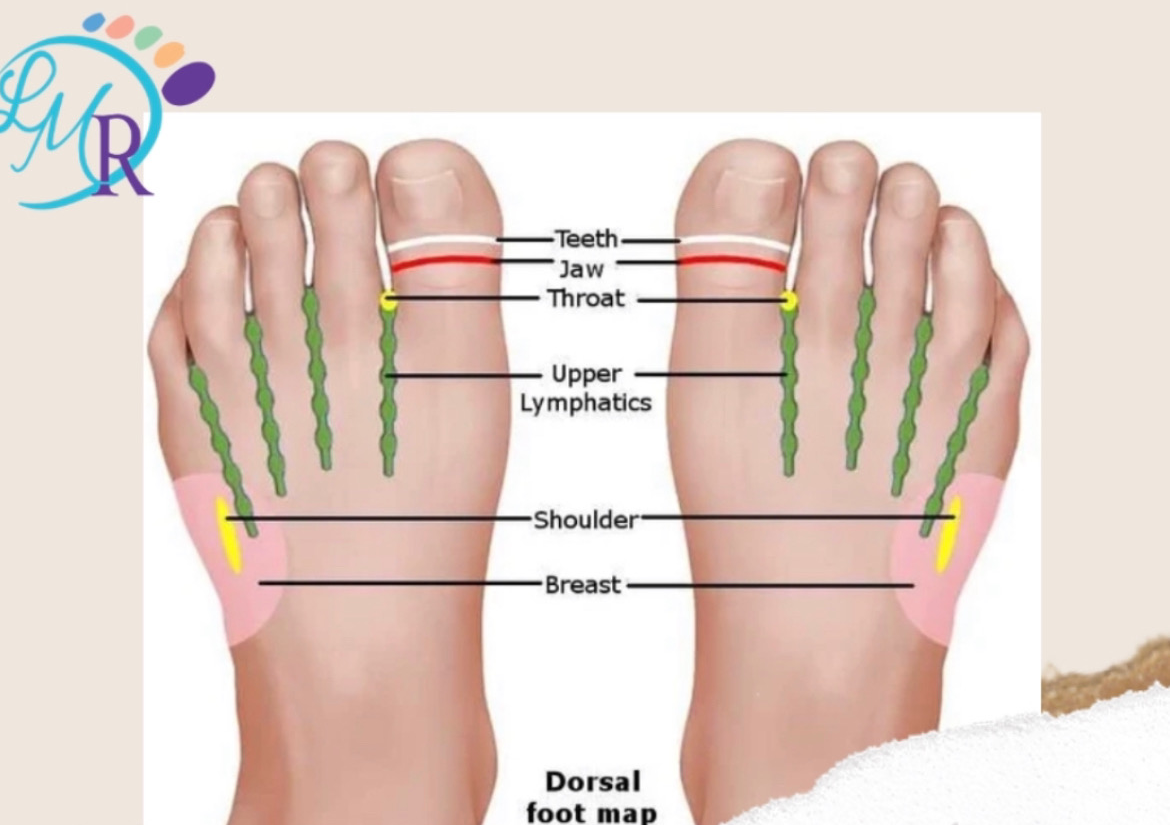 Lymph Reflexology (RLD) 