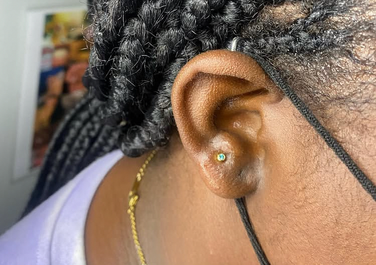 Adult Earlobe (Pair)