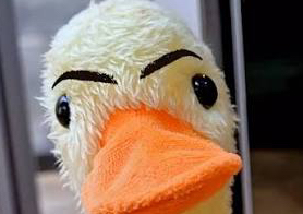 Clientes Nuevos  (Cera o Hilo)