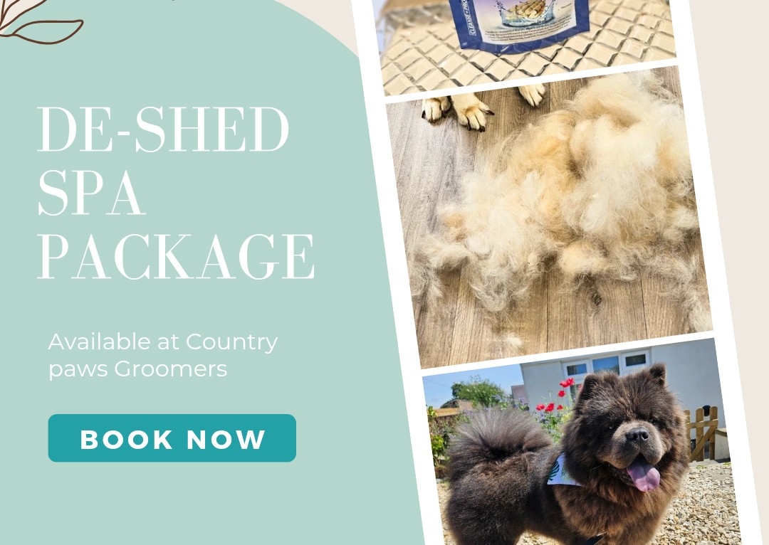 De-shed Spa * add on * 