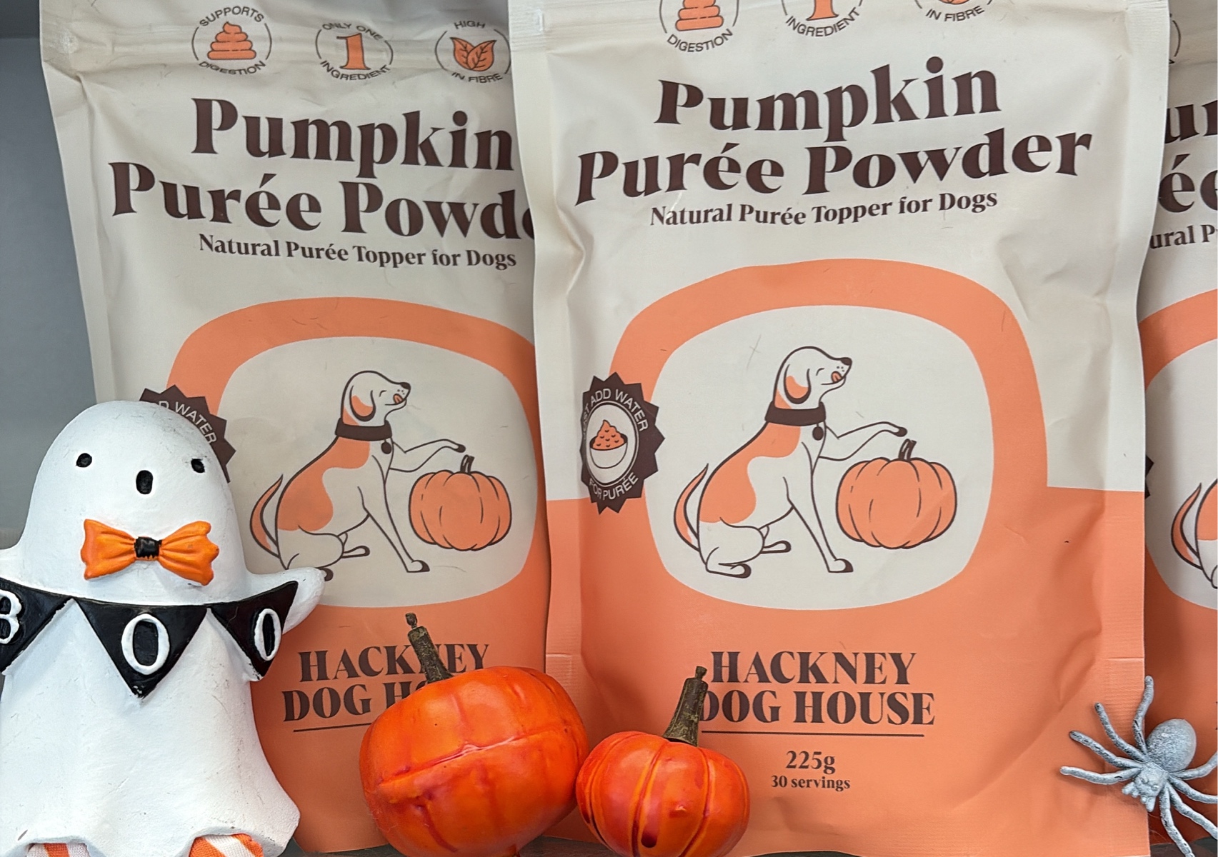 Pumpkin puree powder