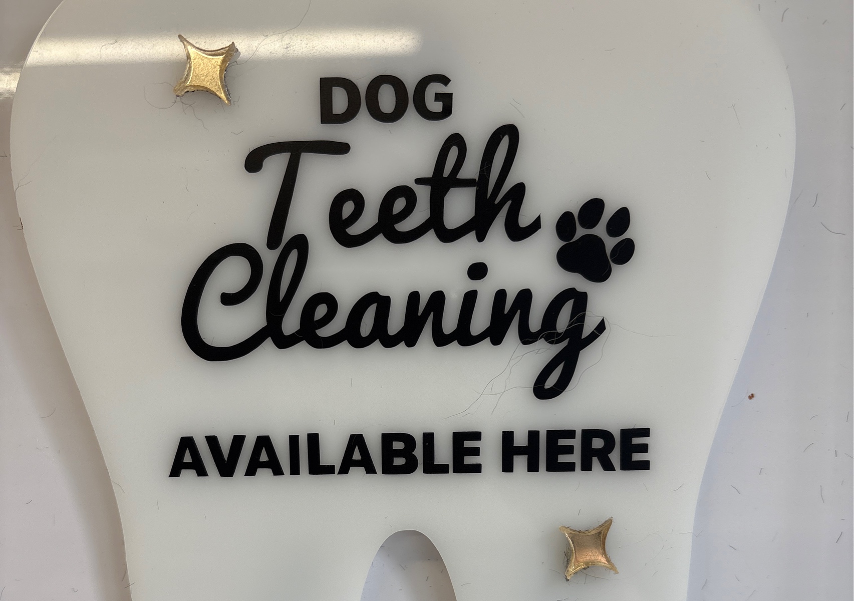 Emmy pet Dental Clean *add on to groom *