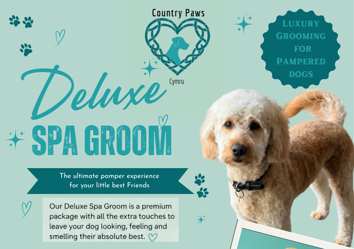  Deluxe Spa Groom (Medium breed)