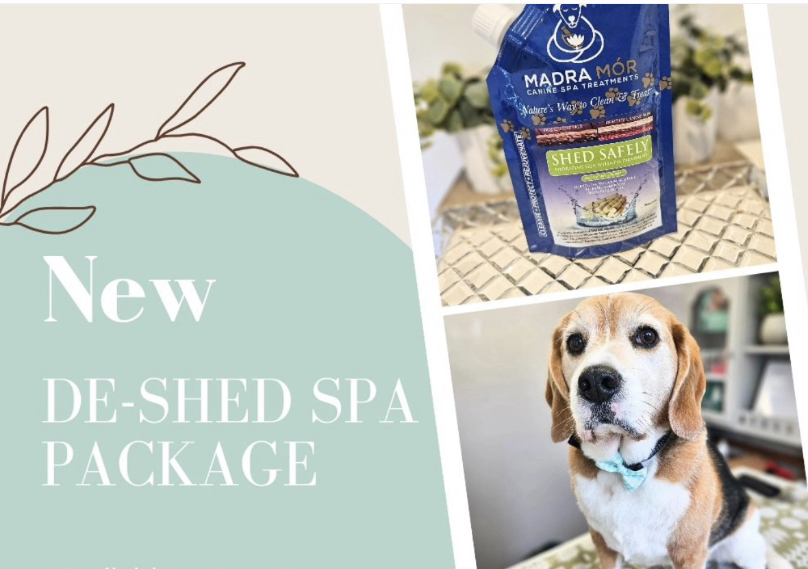 ✨Ultimate Deshed Spa Groom ✨