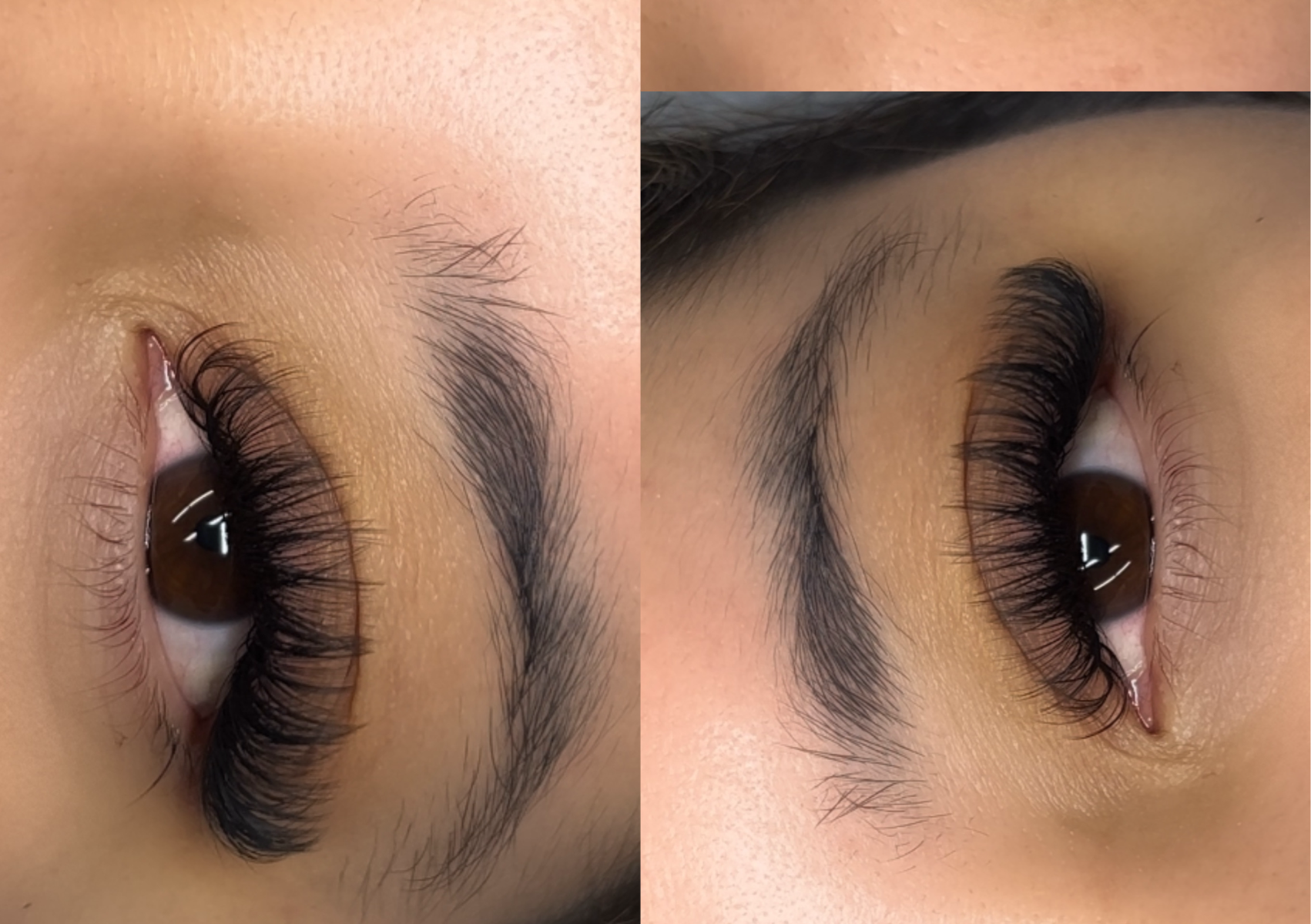 Bombshell Volume Lash Set