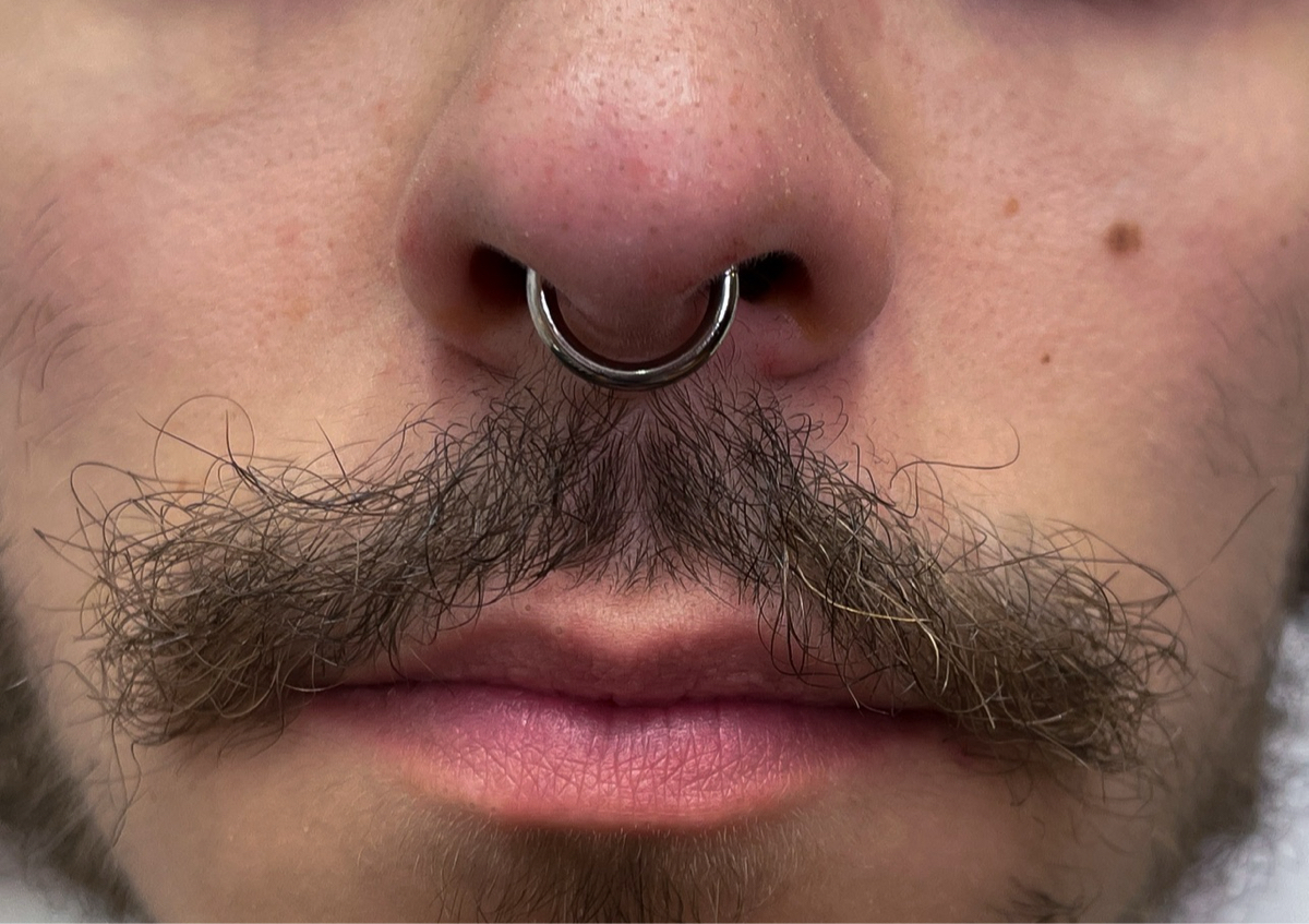 Septum