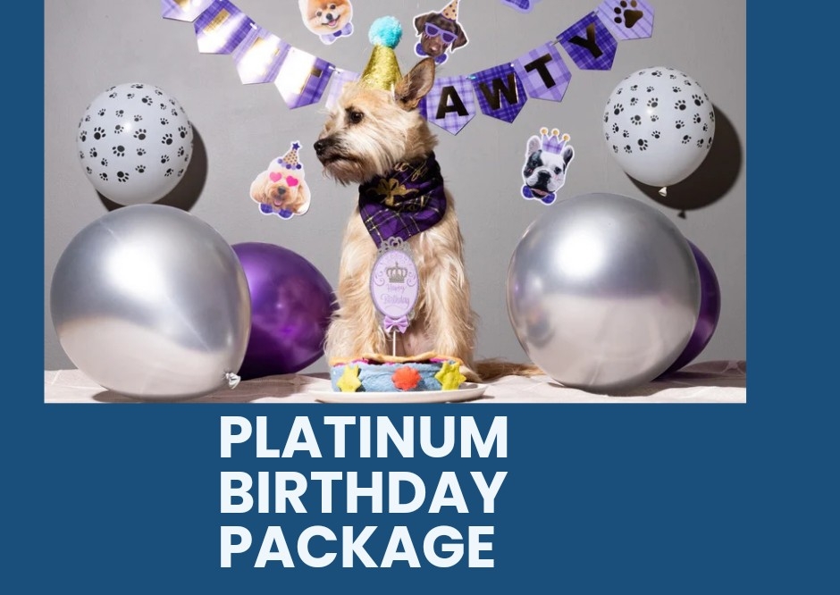 Platinum Birthday Package 