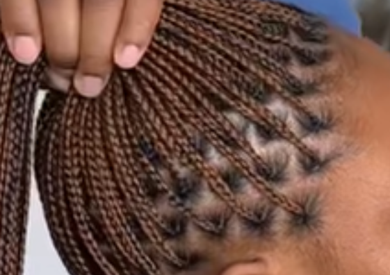 Small Knot-less Braids (Waist length)