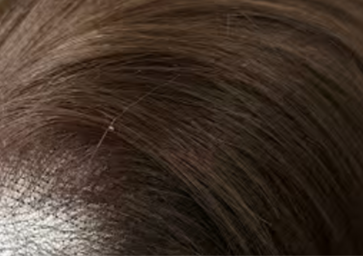 Human Hair/Wig Repair Drop Off/pickup