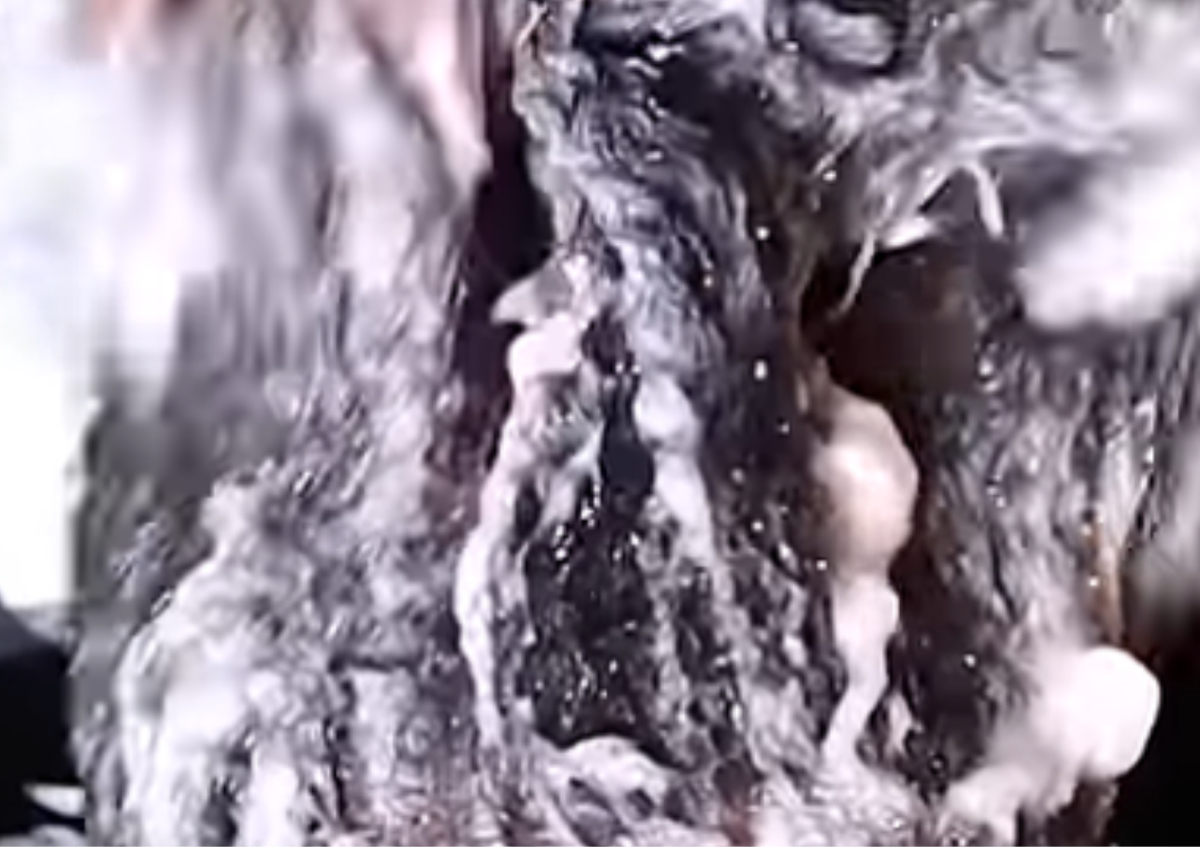 Hair Washing andTreatment