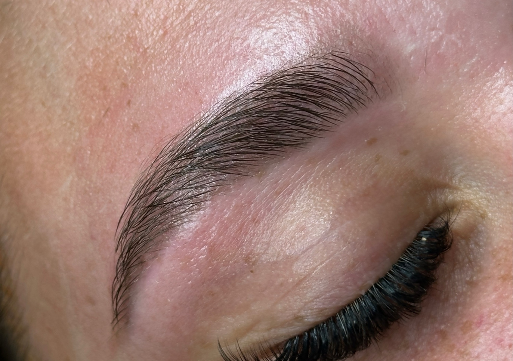 Signature Hybrid Brows 