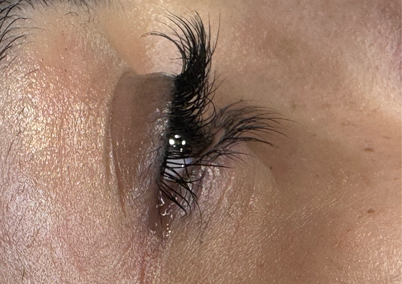 Lash Lift + Color 