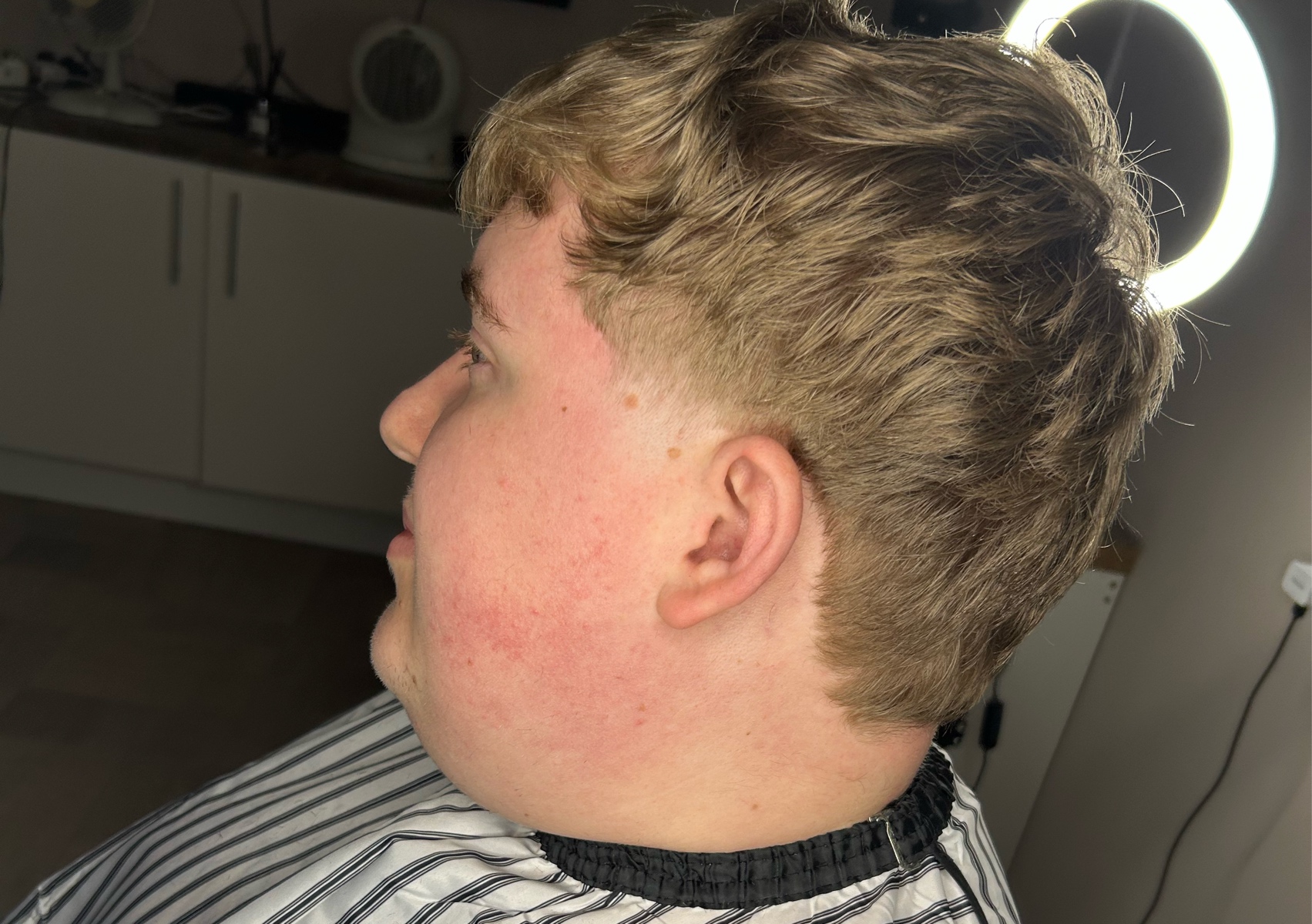 Mullet 
