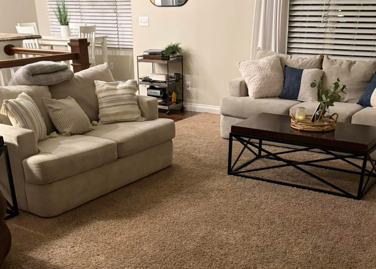     Whole Home Carpet Cleaning (Starting at $449)