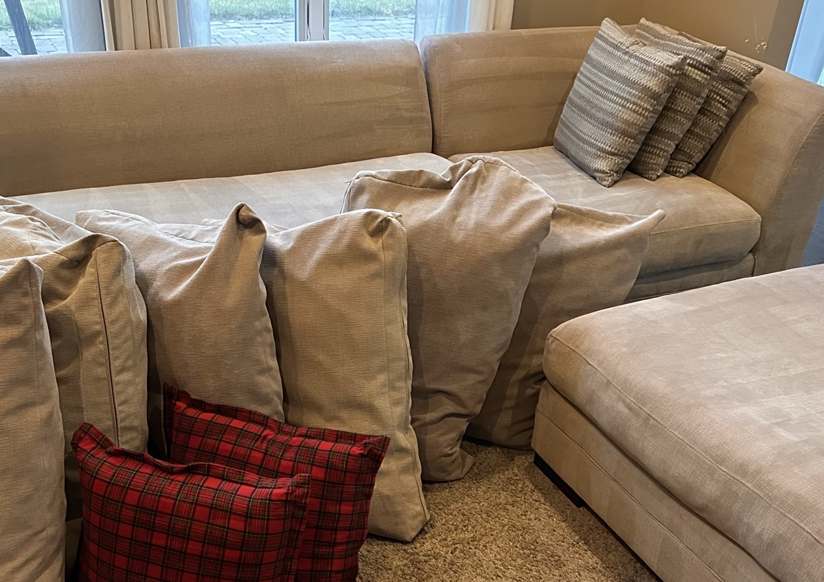     Sectional Cleaning (Starting at $299)