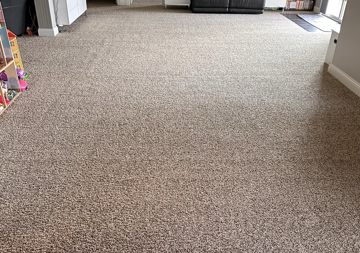    Carpet Cleaning Per Room (Starting at $65)