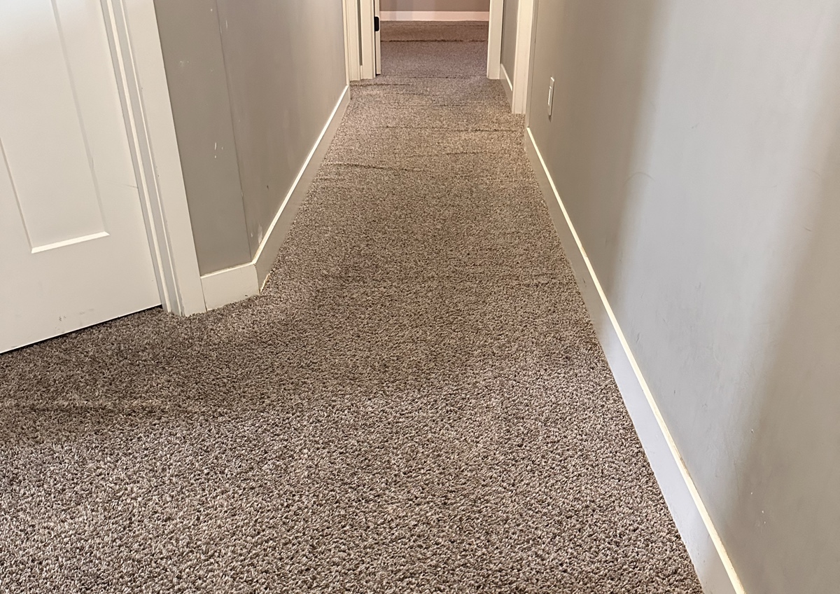 Hallway Cleaning (Starting at $50)