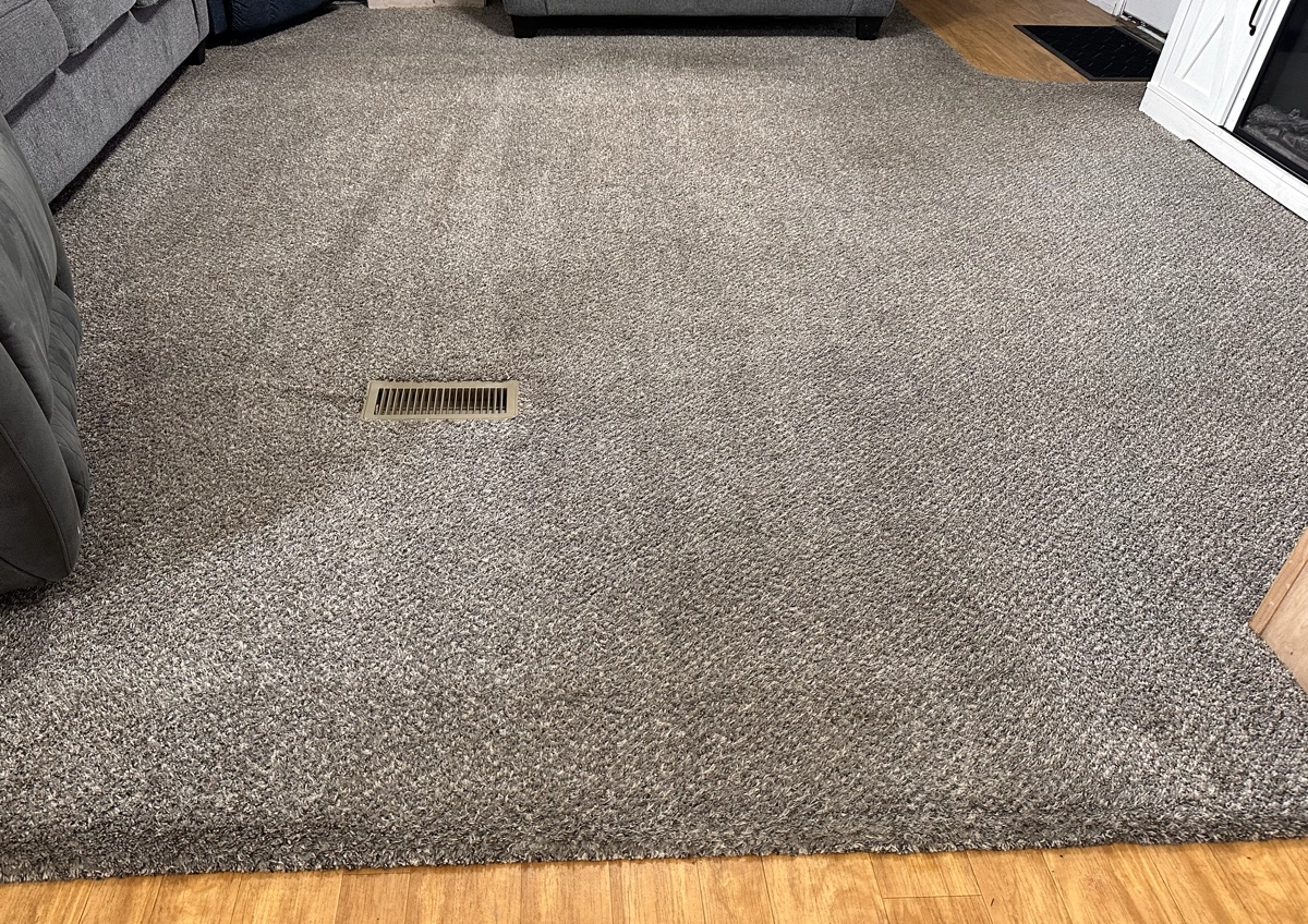 Living Room Cleaning (Starting at $95–$120)
