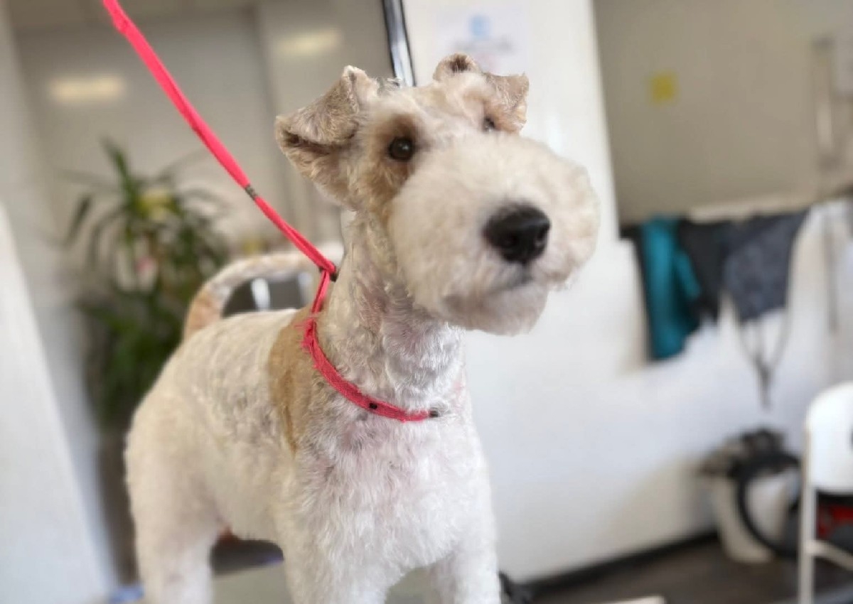 Bright white package