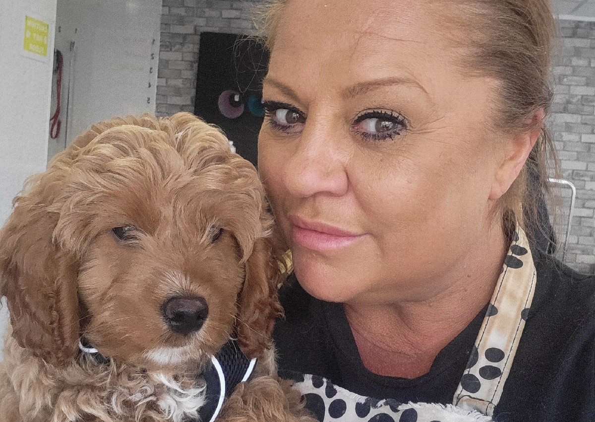 Full groom long hair xl breed 