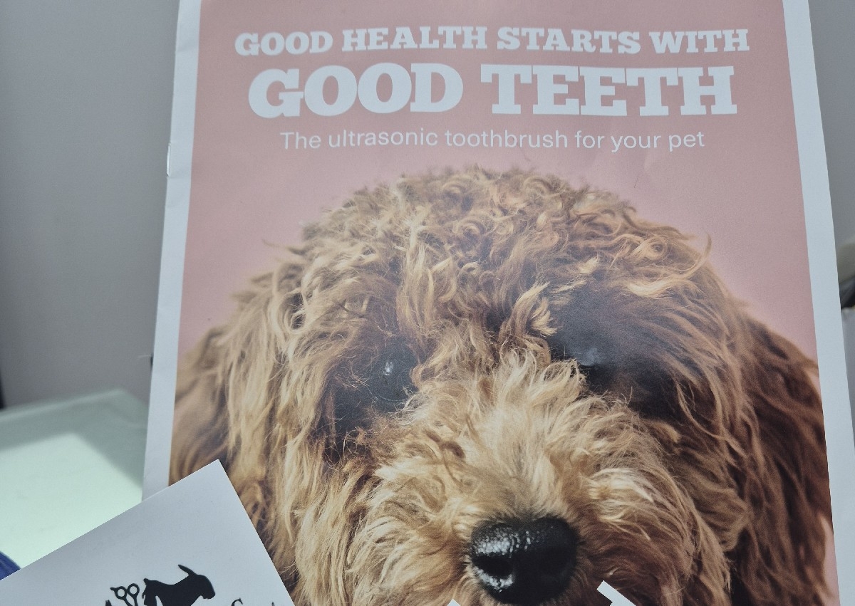 Emmi Pet ultrasonic teeth Cleaning 