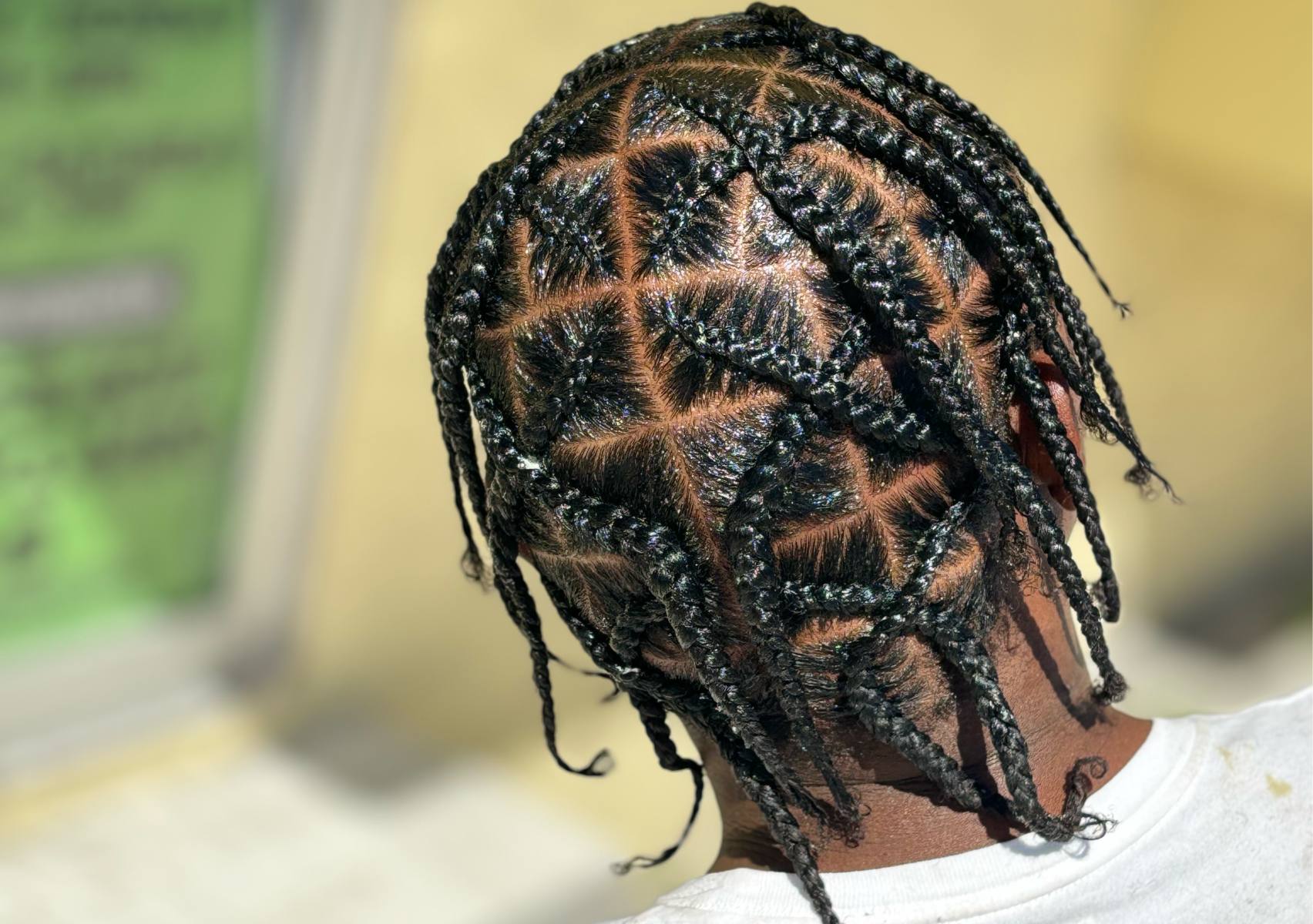 Men Braids 