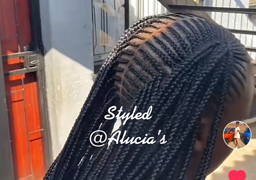 Two- line Fishbone braids