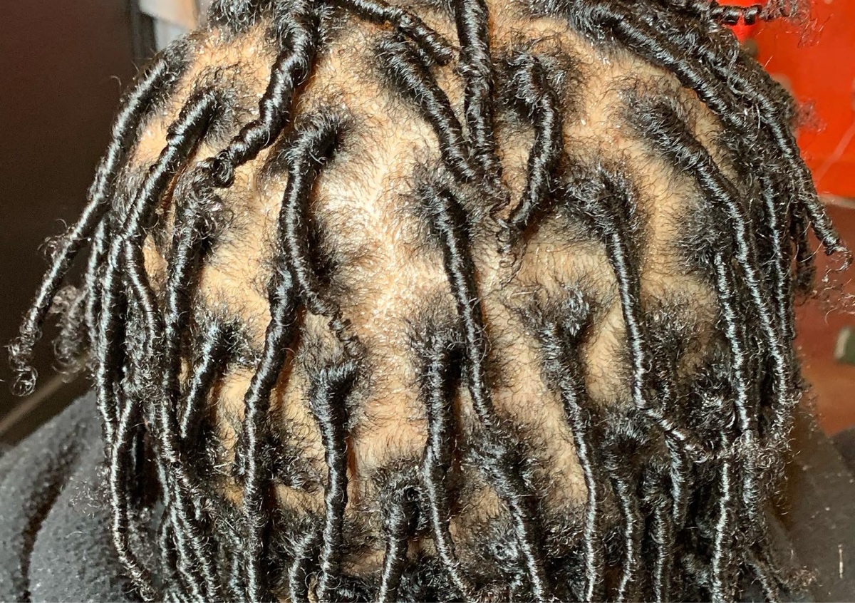 Starter Locs
