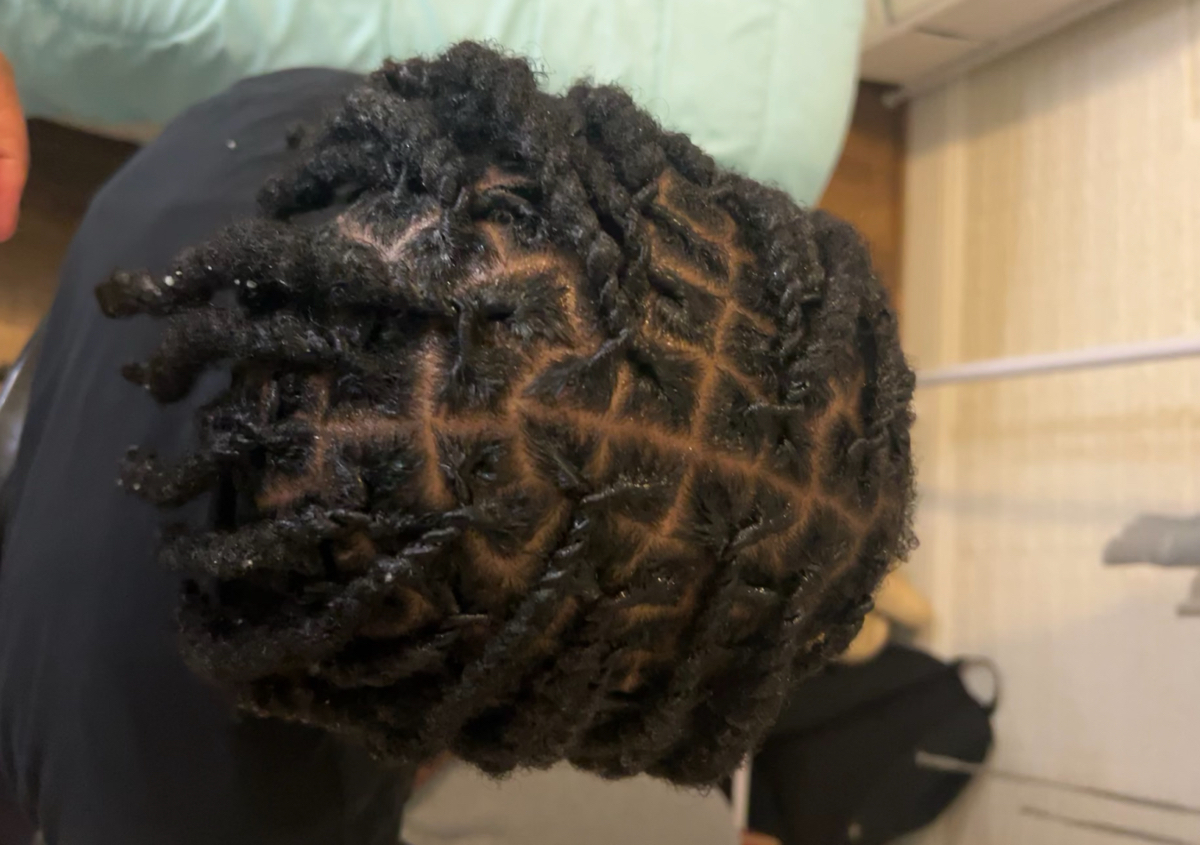 Loc retwist
