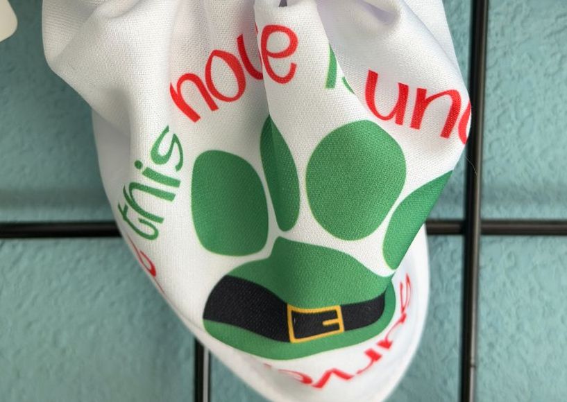 Pet Bandana (with buckle collar)