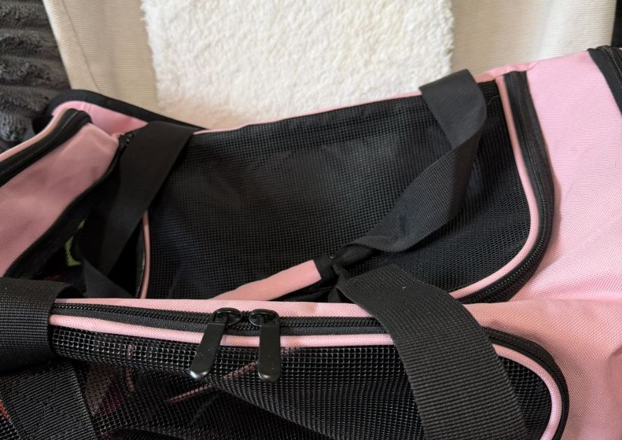 Pink and Black Dog Carrier
