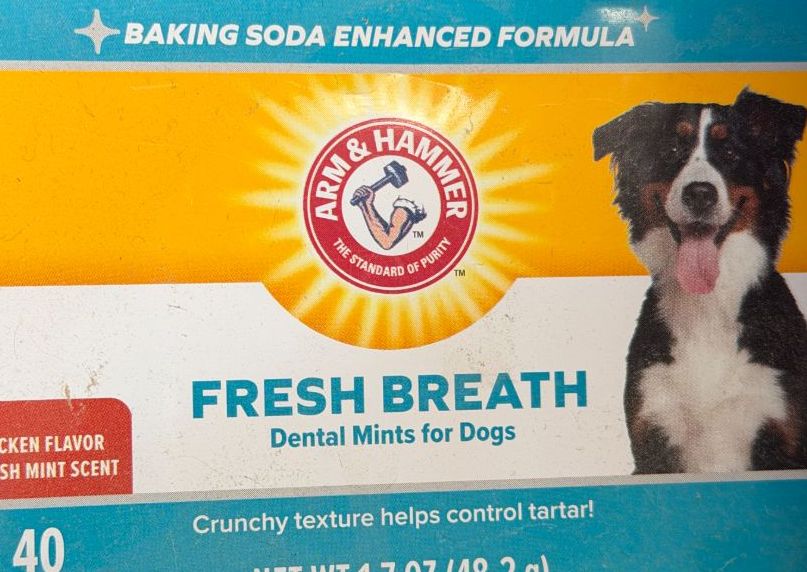 Fresh Breath Mints