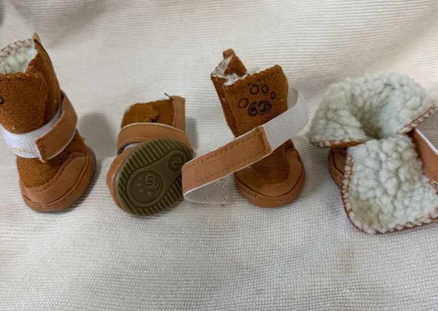 Dog booties