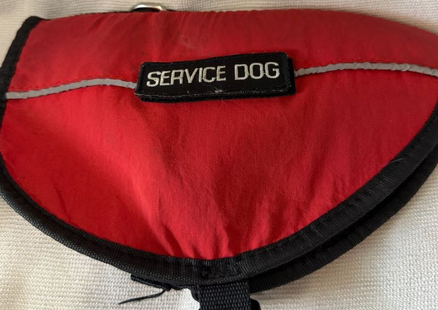 Service Dog harness