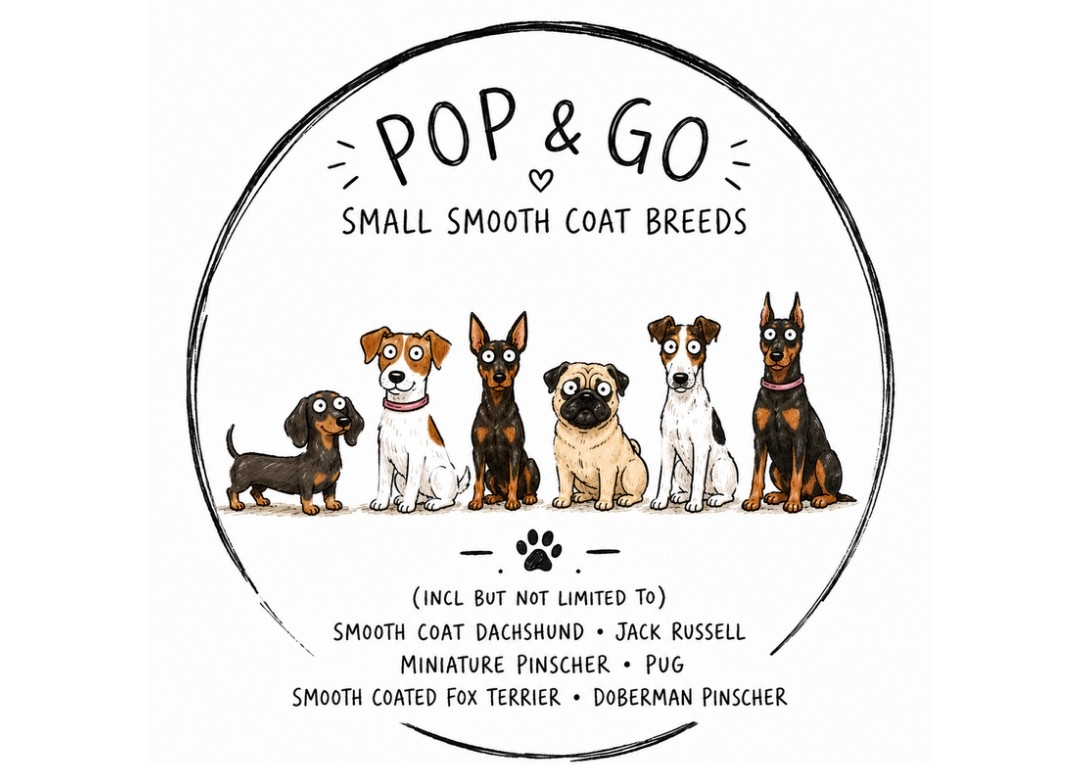 POP&GO - Small Short Haired Breeds