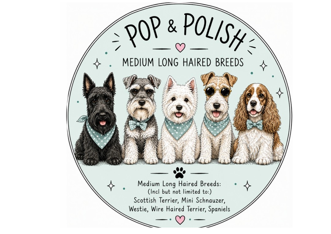 POP&POLISH Medium Long Haired Breeds 