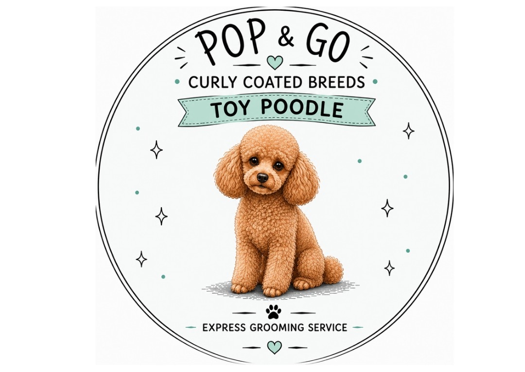 POP&GO TOY POODLE
