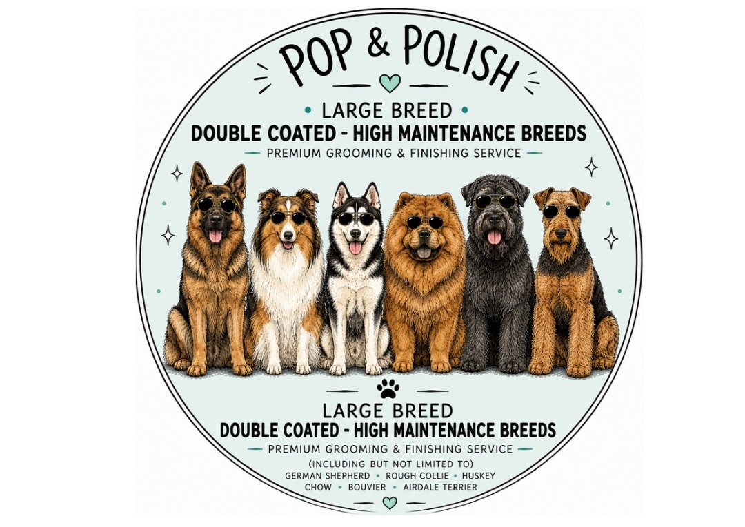 POP&POLISH Large - Long/Curly Haired Breeds