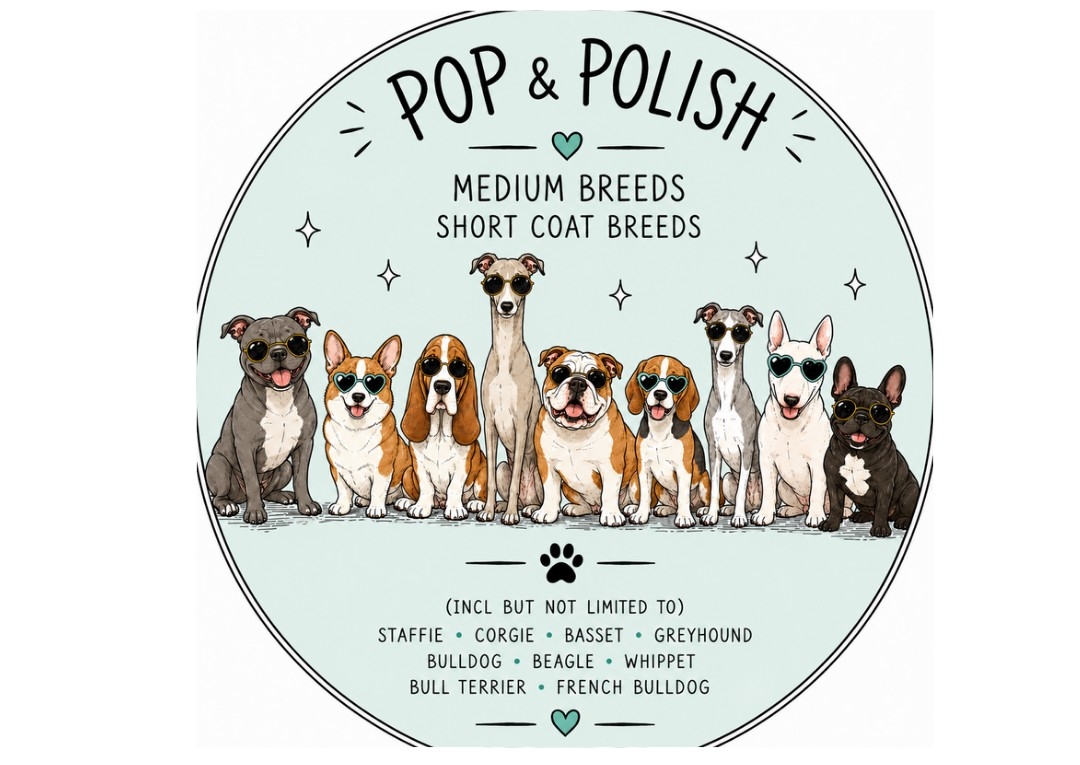 POP&POLISH Medium Short Haired Breeds