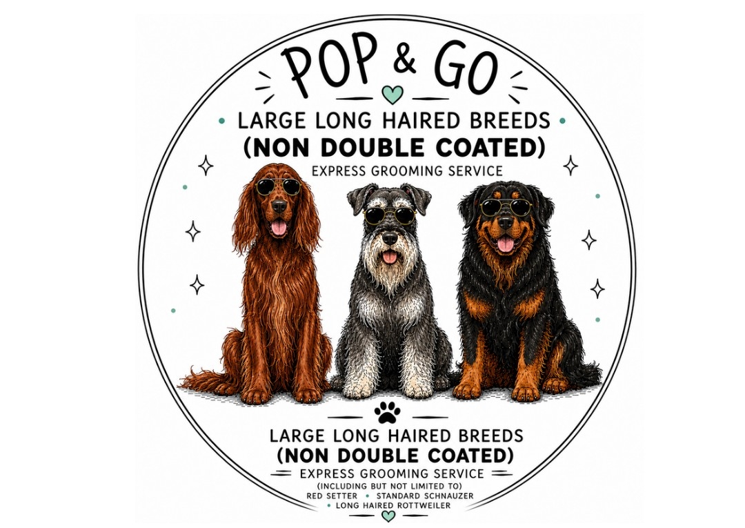 POP&GO Large-Long/Curly Haired Breeds 