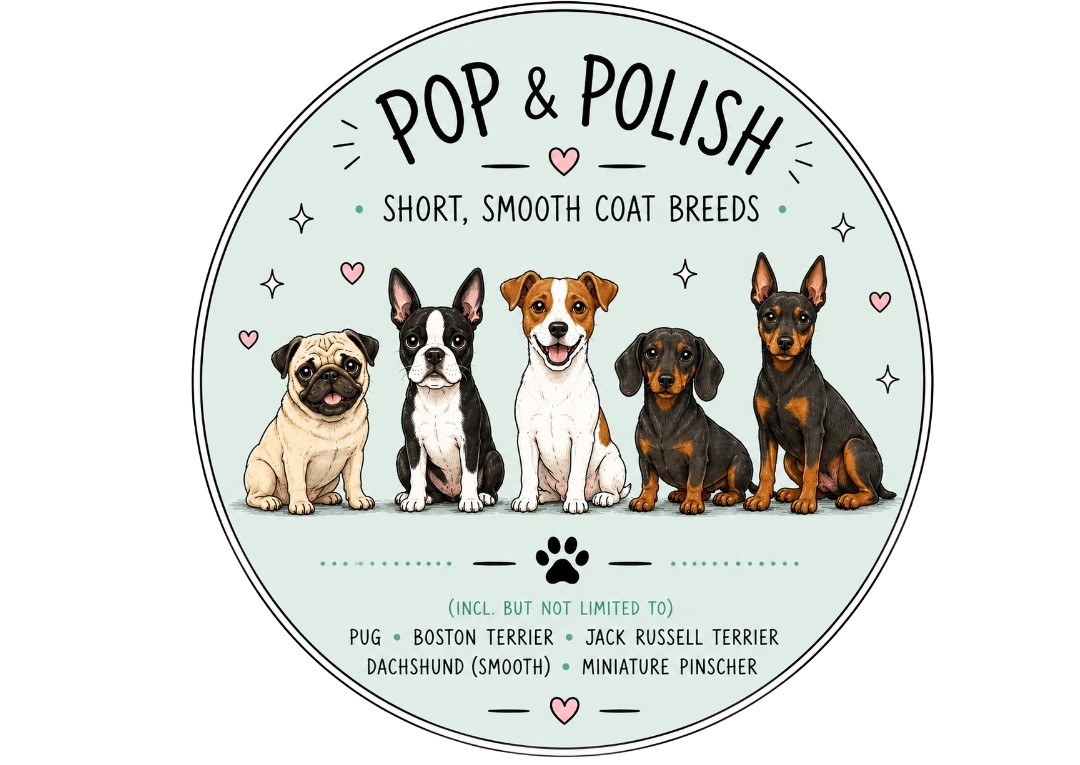 POP&POLISH - Small Short Haired Breeds