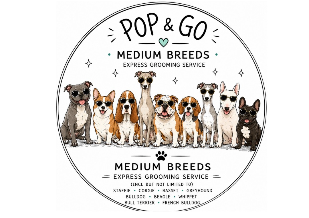 POP&GO Medium Short Haired Breeds 