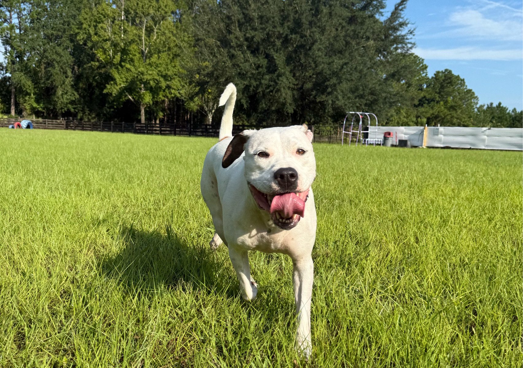 Sniff Spot Adventure Add-on