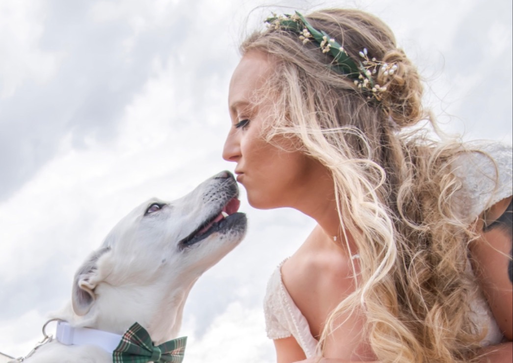 Pet Wedding Service Consult